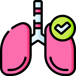 Lung icon