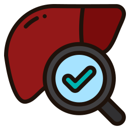 Liver icon