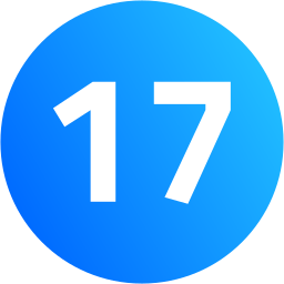 Number 17 icon