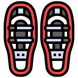 Snowshoes icon