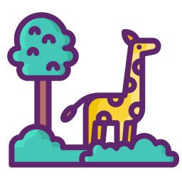 Safari icon