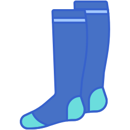 Socks icon