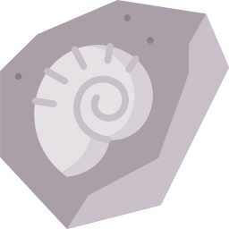 Fossil icon