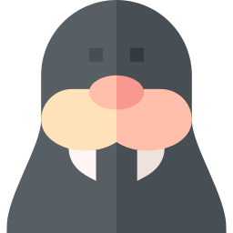 Walrus icon