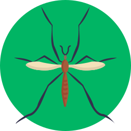 Fly icon