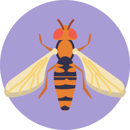 Fly icon