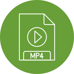 mp4 icon