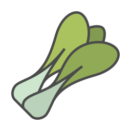 bok choi icon