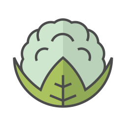 blumenkohl icon