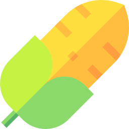 Corn icon