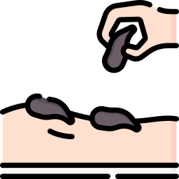 blutegeltherapie icon