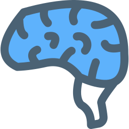 Brain icon