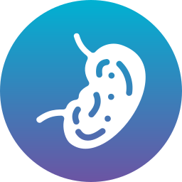 Kidney icon