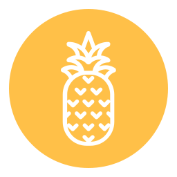 ananas icon