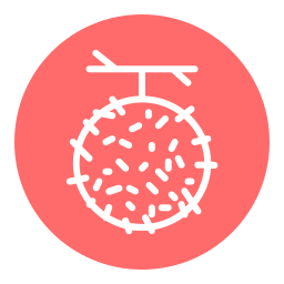 rambutan icon