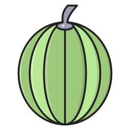 wassermelone icon