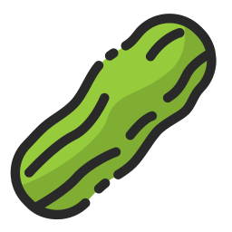 Bitter melon icon