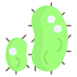 Bacteria icon