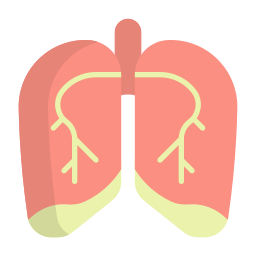 Lung icon