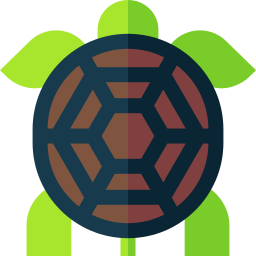 Turtle icon