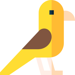 kanarienvogel icon