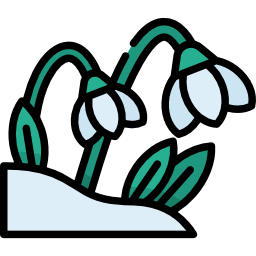 Snowdrop icon