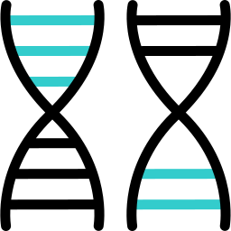 Dna strand icon