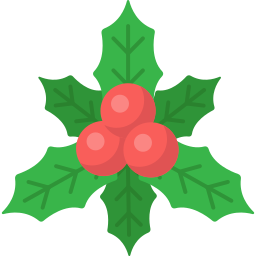 beeren icon