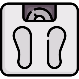 Scale icon