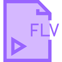 flv icon