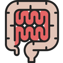 Intestine icon