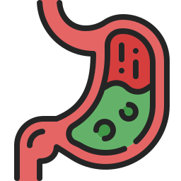 Stomach icon