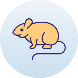 Rat icon