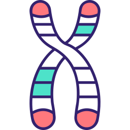 Chromosome icon