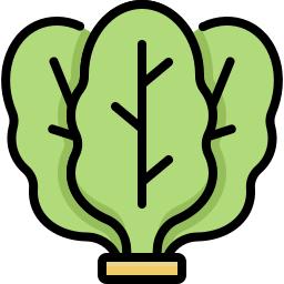 Spinach icon