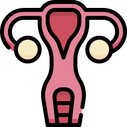 Uterus icon