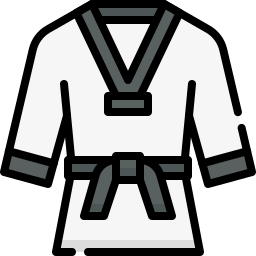 Taekwondo icon