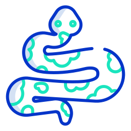 Snake icon