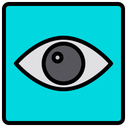 vision icon