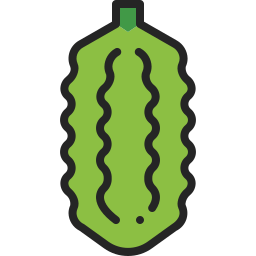 Bitter gourd icon