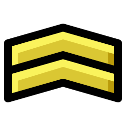 chevron icon