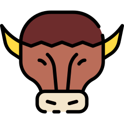 Bison icon