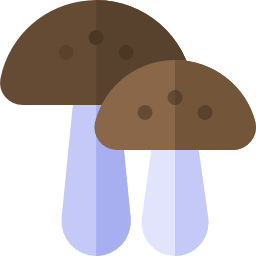 paddestoelen icoon