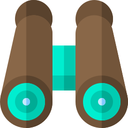 Binoculars icon