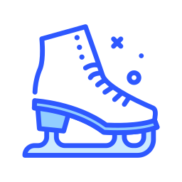 Ice skate icon