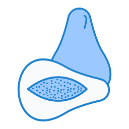 Papaya icon