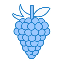 Grapes icon