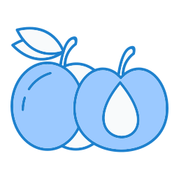 Damson icon