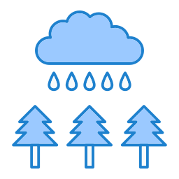 regenwald icon