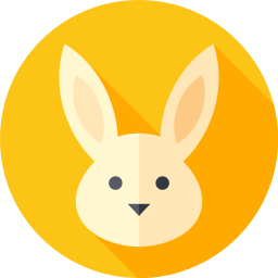 lapin Icône